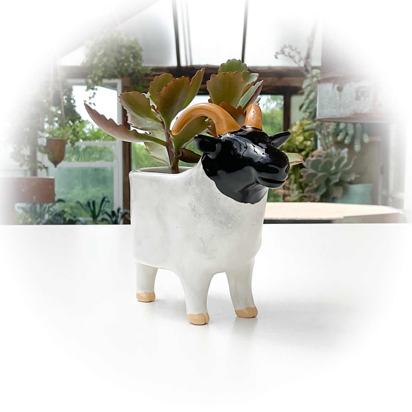 Black and White Sheep Pot - Ceramic Sheep Planter