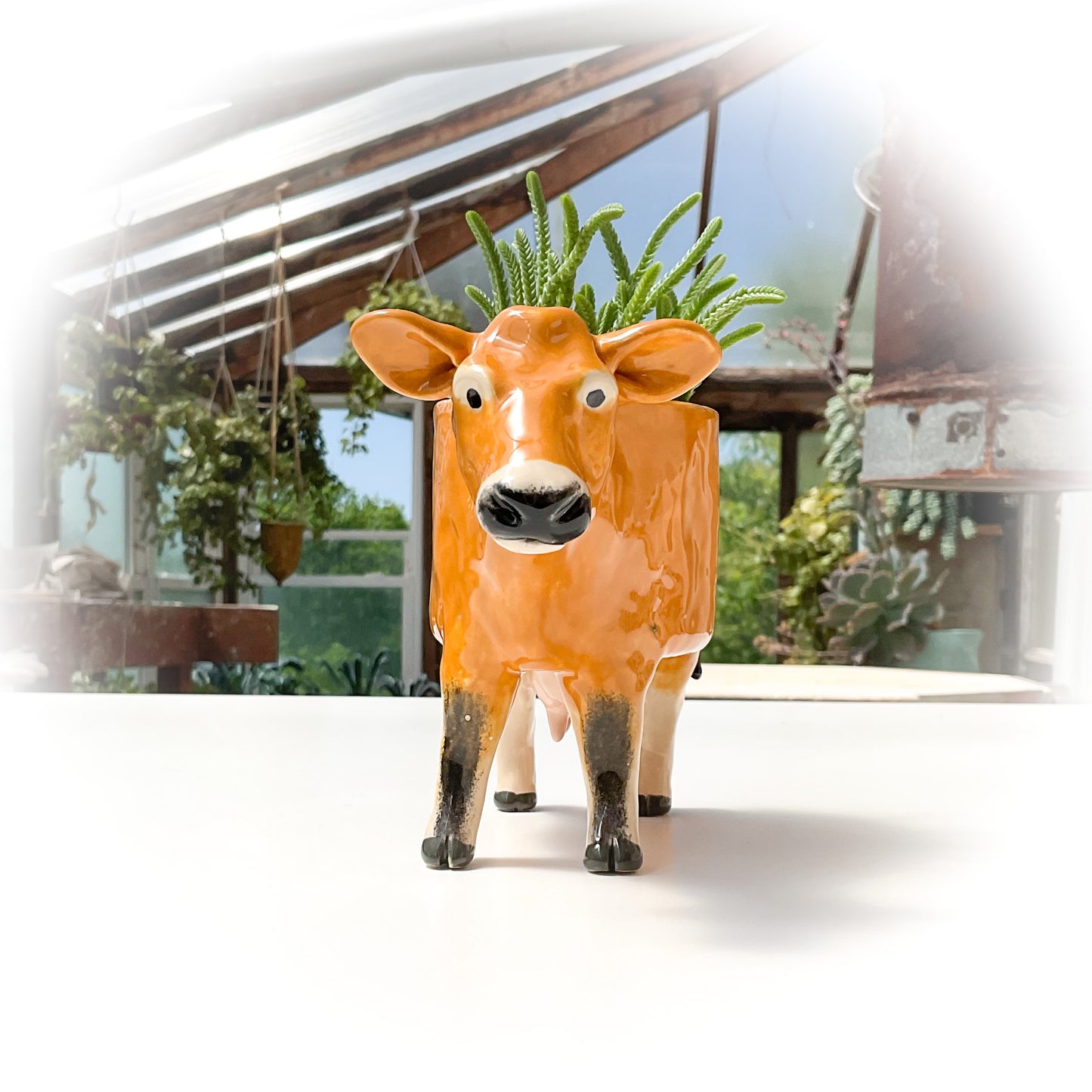 Jersey Cow Pot #3 - Ceramic Dairy Cow Planter
