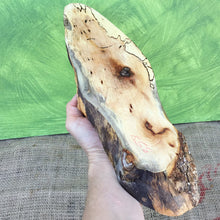 Load image into Gallery viewer, Spalted Maple Live Edge Wood Slice - 15.25&quot; x 4.25&quot; x 1&quot;