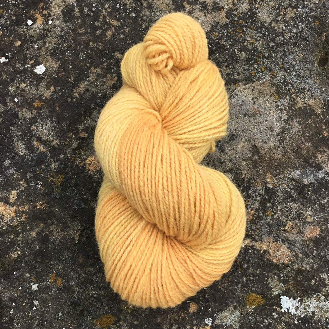 Soft Orange - DK Wool Yarn (80 Merino 20 Romney) 2 ply - 4 oz skeins
