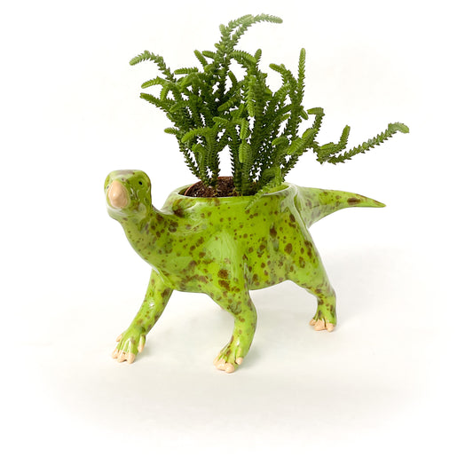 Iguanodon Dinosaur Planter - Dinosaur Succulent Planter