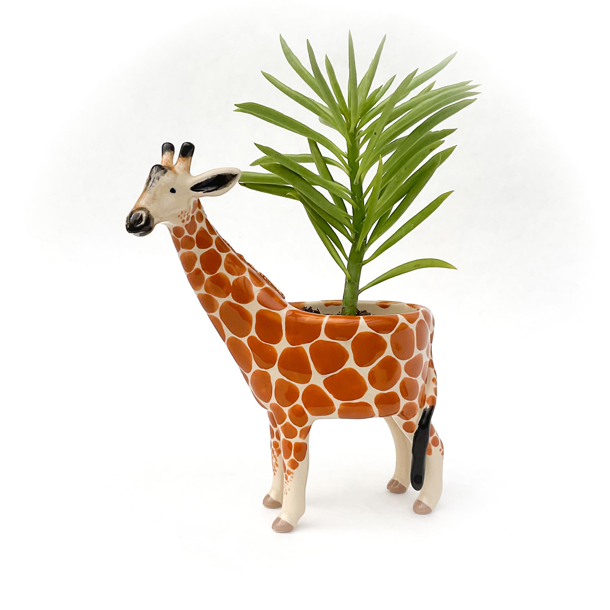 Giraffe Pot - Ceramic Giraffe Planter Haulin' Hoof Farm Store