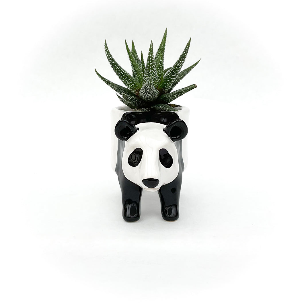 Giant Panda Pot - Ceramic Panda Bear Planter