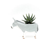 Load image into Gallery viewer, Miniature Mediterranean Donkey Planter