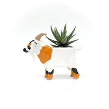 Load image into Gallery viewer, Black and Brown Pygmy Goat Pot
