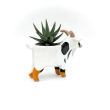 Load image into Gallery viewer, Black and Brown Pygmy Goat Pot