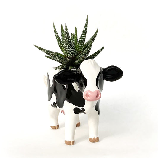 Holstein Friesian Cow Pot