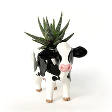 Load image into Gallery viewer, Holstein Friesian Cow Pot