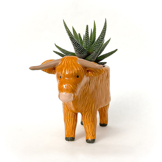 Highland Cow Planter