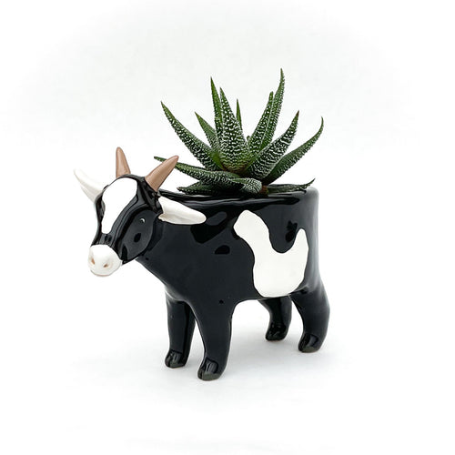 Black and White Pygmy Goat Pot