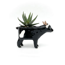 Load image into Gallery viewer, Black and White Pygmy Goat Pot