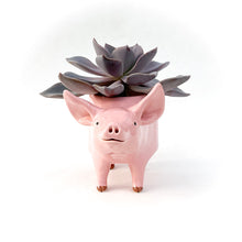 Load image into Gallery viewer, RESERVED for J.J. -  Ceramic Holstein &amp; Pig Planter