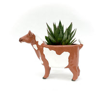 Load image into Gallery viewer, Spotted Nigerian Dwarf Goat Pot