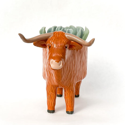 Highland Cow Pot