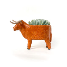 Load image into Gallery viewer, Highland Cow Pot