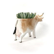 Load image into Gallery viewer, Brown Swiss Cow Pot