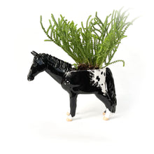 Load image into Gallery viewer, Appaloosa Horse Pot