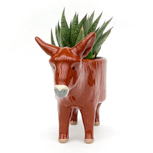 Load image into Gallery viewer, French Baudet du Poitou Donkey Pot