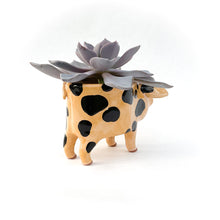 Load image into Gallery viewer, Gloucestershire Pig Pot