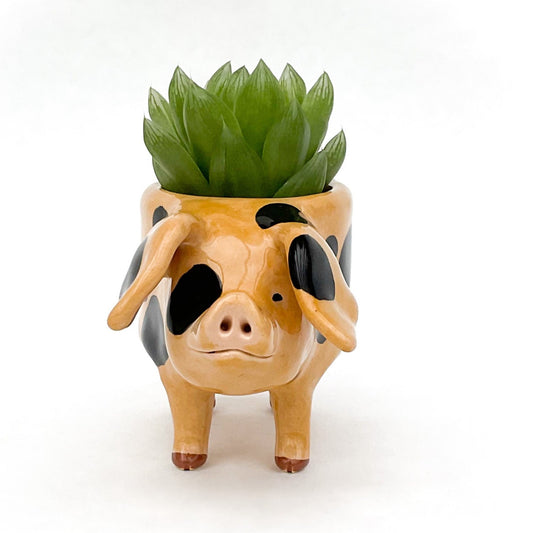 Gloucestershire Pig Pot