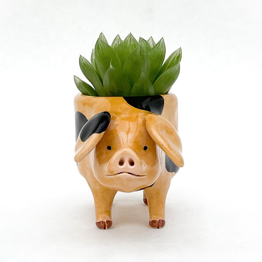 Gloucestershire Pig Pot