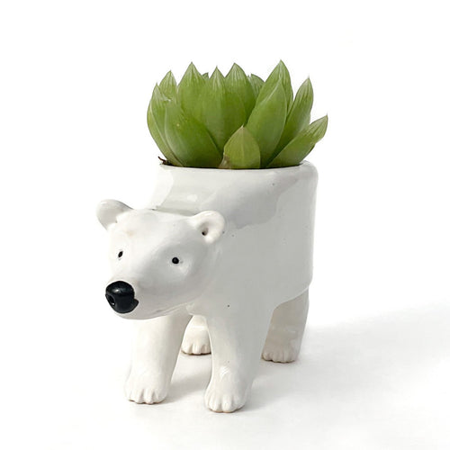 Baby Polar Bear Ceramic Planter