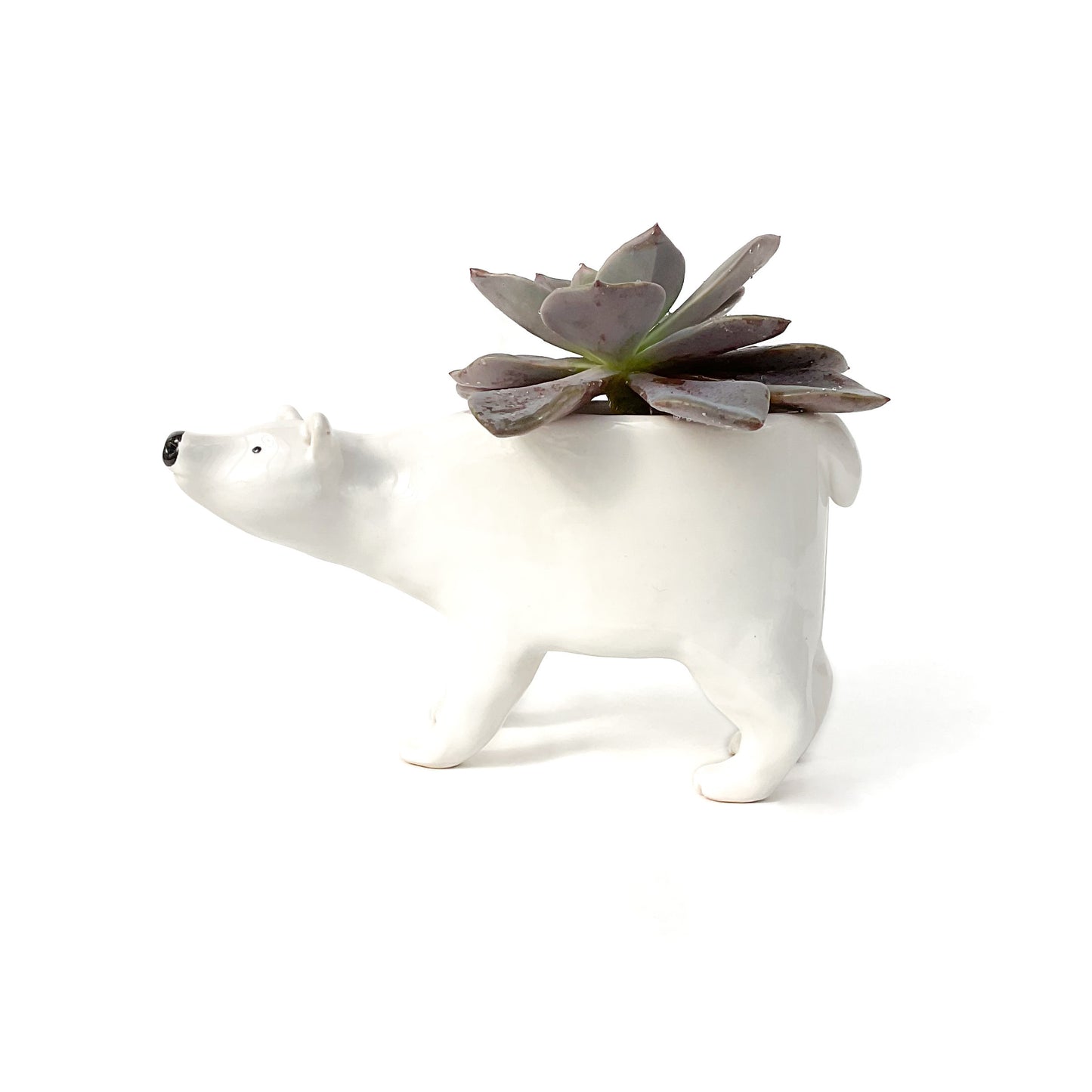 Polar Bear Ceramic Planter