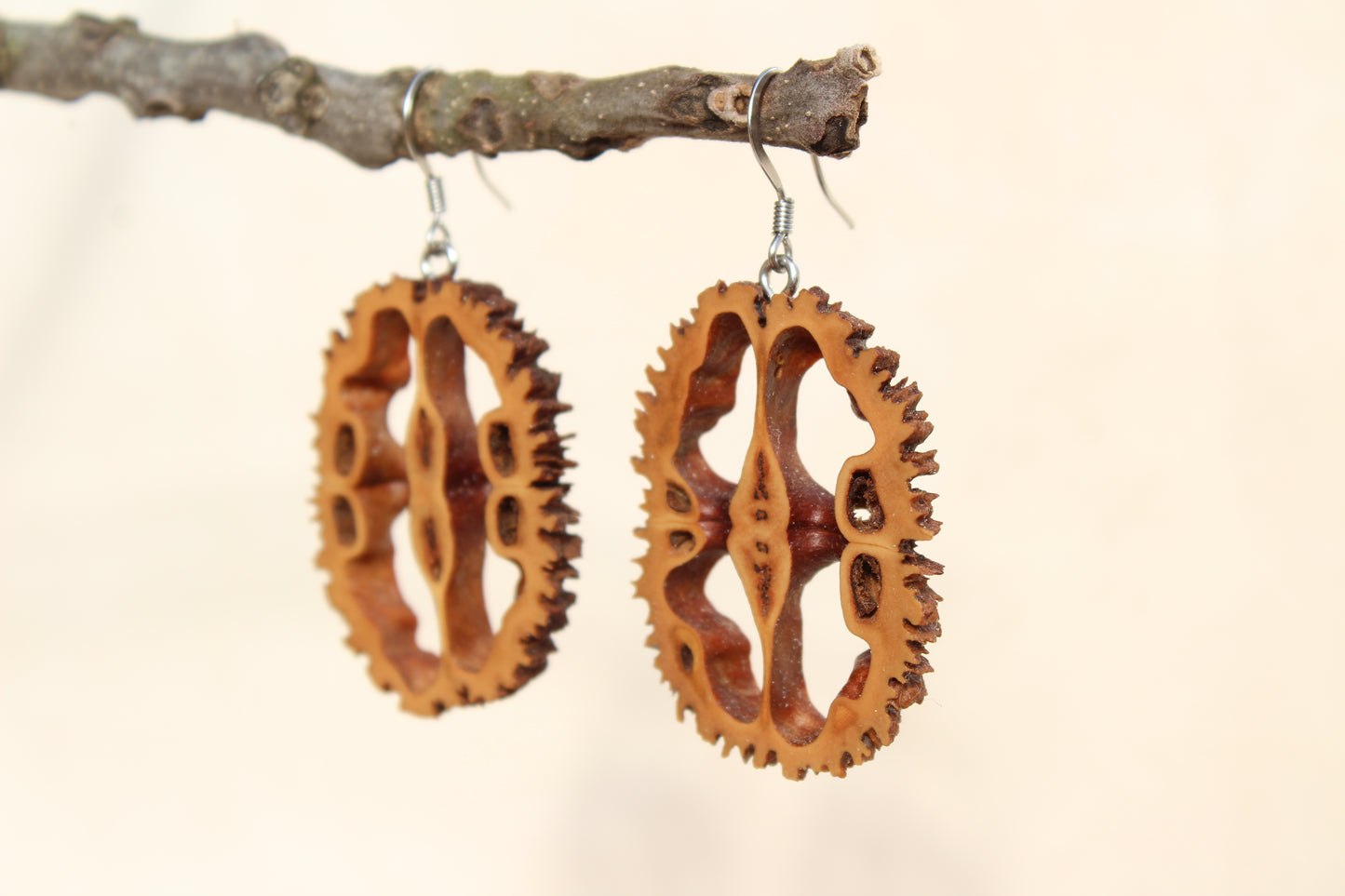 Natural Wooden Earrings - Black Walnut Shell