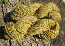 Load image into Gallery viewer, Plant-dyed Goldenrod Yarn - Worsted Weight