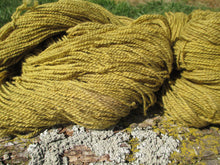 Load image into Gallery viewer, Plant-dyed Goldenrod Yarn - Worsted Weight