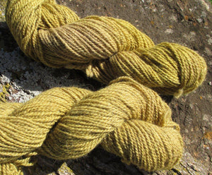 Plant-dyed Goldenrod Yarn - Worsted Weight